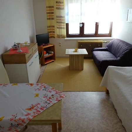 Erzgebirgsdomizil Am Schwartenberg Neuhausen  Exterior foto